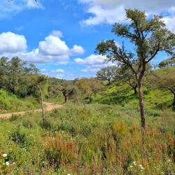 Da schlängelt sich der Weg