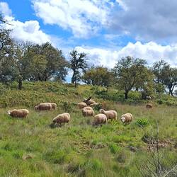 Noch määäähhhr!!!