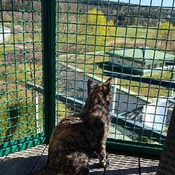 Kein Käfig, sondern der tiersichere Balkon unseres Zimmers.