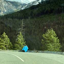 Anyone need to use the loo?