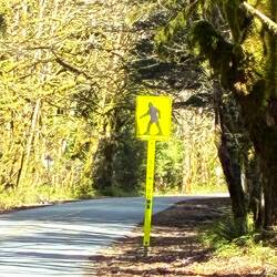 Sasquatch crossing outside Aura's house