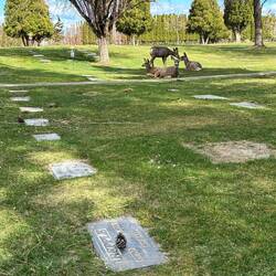 The grave with the pine cone is where my dad's parents & 1 brother are buried