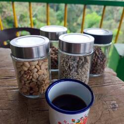 Die Röstung in Kolumbien ist heller als bei uns - daher schmeckt der Kaffee milder