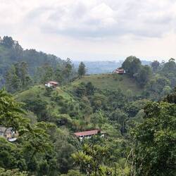 Nach der interessanten Führung wandern wir weiter durch die herrliche Landschaft