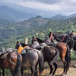 Andere reiten lieber