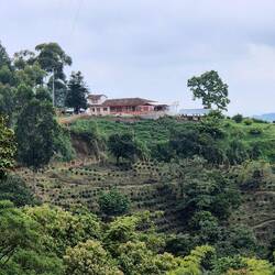 Die Finca ,Entre Bosques'