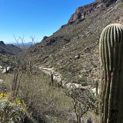Sabino Canyon