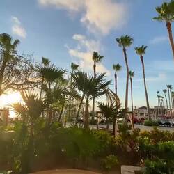 Ein Schwenk vom Zimmer aus