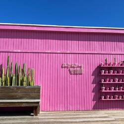 George Town, new establishment from 2024