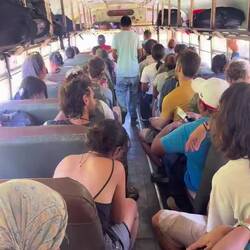 Chickenbus