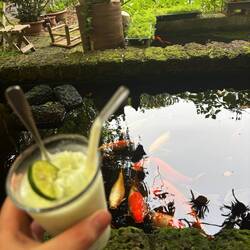 Getränkepause am koiteich