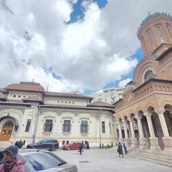 The Church and the Synod