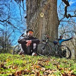 Dahnke Eiche am Forstgarten