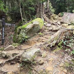 Steeper than it looks