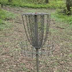 Disc golf targets dotted across the forest