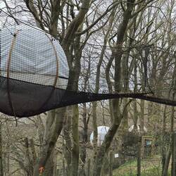 Treetop adventures in the forest