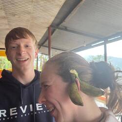 Bestimmt landestypische Baby-Bananen-Ohrringe