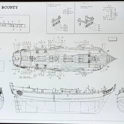 THE BOUNTY