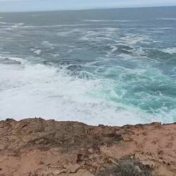 Das "Schnauben" des Blowholes hört man gut...