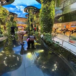 Die Oase "Dreamscape" im neu gemachten Terminal 2