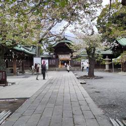 Mishima Taisha