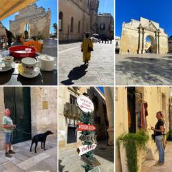 Erich spaziert mit der hungrigen Lesley🐾❤️schon mal voraus nach Hause🚐😉