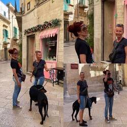 ..keine Ahnung wohin, aber no Problem😎Susi hat den vollen Durchblick🤓👌🏻🤣