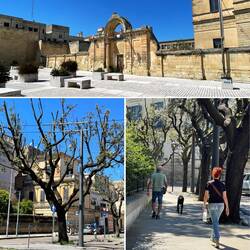 Traumhaftes Wetter für einen Stadtbummel 🙌