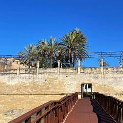 ..um ca.17.30h spazieren wir aus der Altstadt Lecce zurück zu den Womis🚐🚐und meinen 2Schatzi's🙍🏼‍♂️🐾❤️