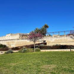 ..noch wissen wir gar nicht wo wir heute schlafen wollen,aber ALLES ergibt sich wie von selbst🍀👌🏻🇮🇹