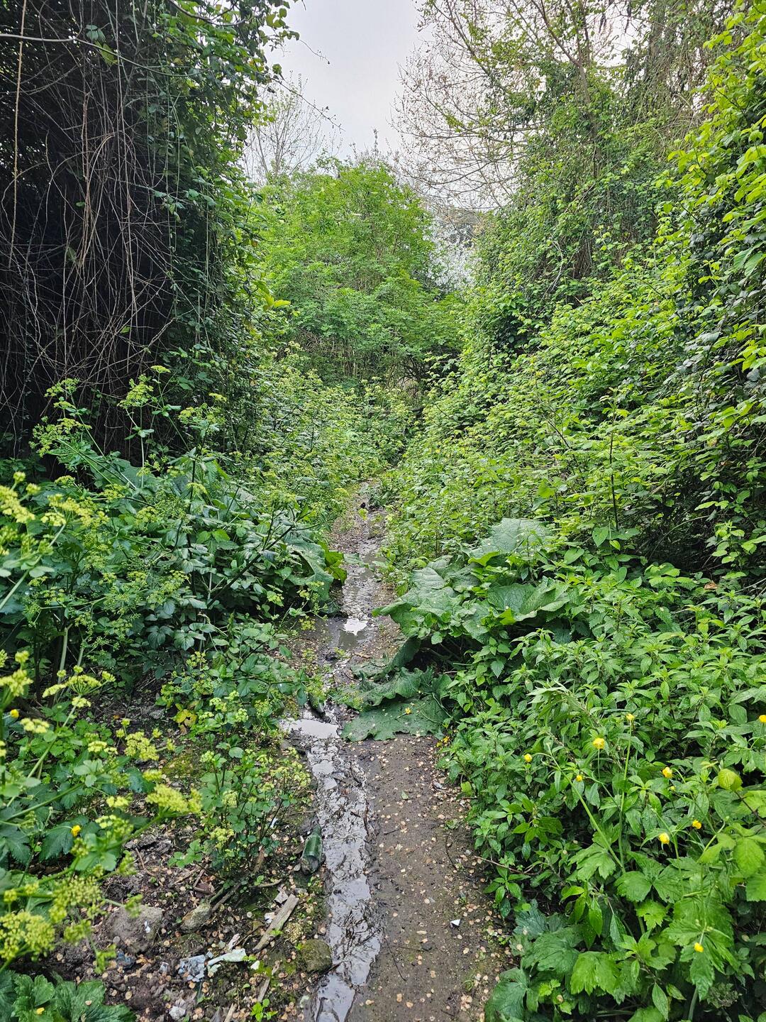 Leaving Sessa Aurunca