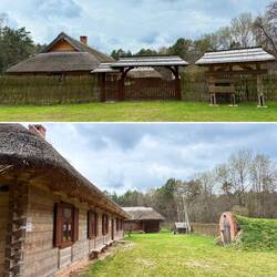 Zeltplätze inmitten des Waldes in einer Waldlichtung.