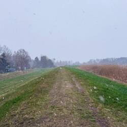 Es schneit, es schneit...