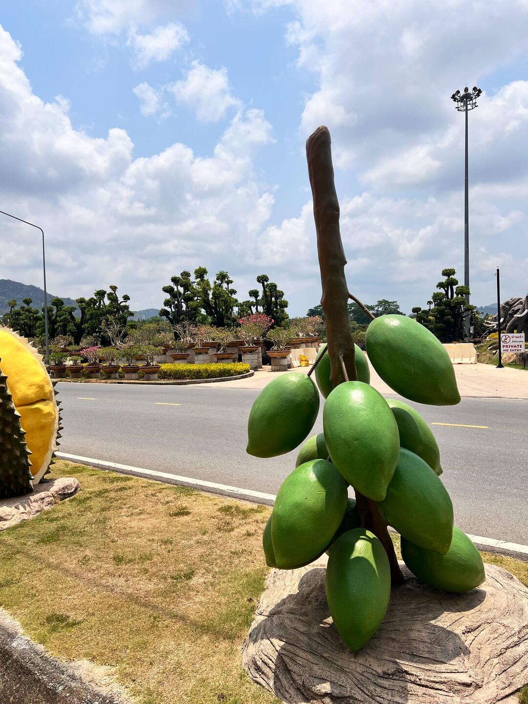 Die Straße zum botanischen Garten