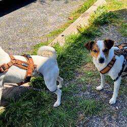 Die Verknotungskünstler