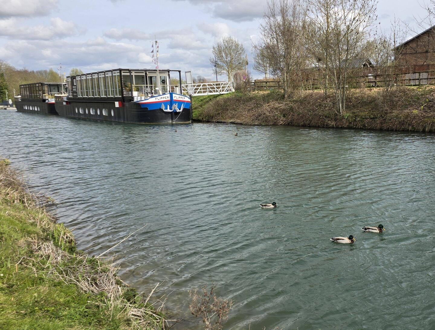 These boats housed offices to rent