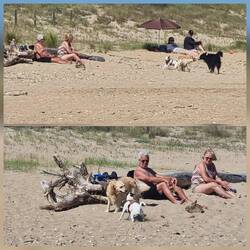 Einmal zum aufmischen