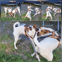 Mit Blödsinn schon mal anfangen