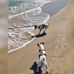 Wasser immer noch Mimimiiieee