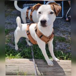 Wie jeden Tag beim Kaffee trinken