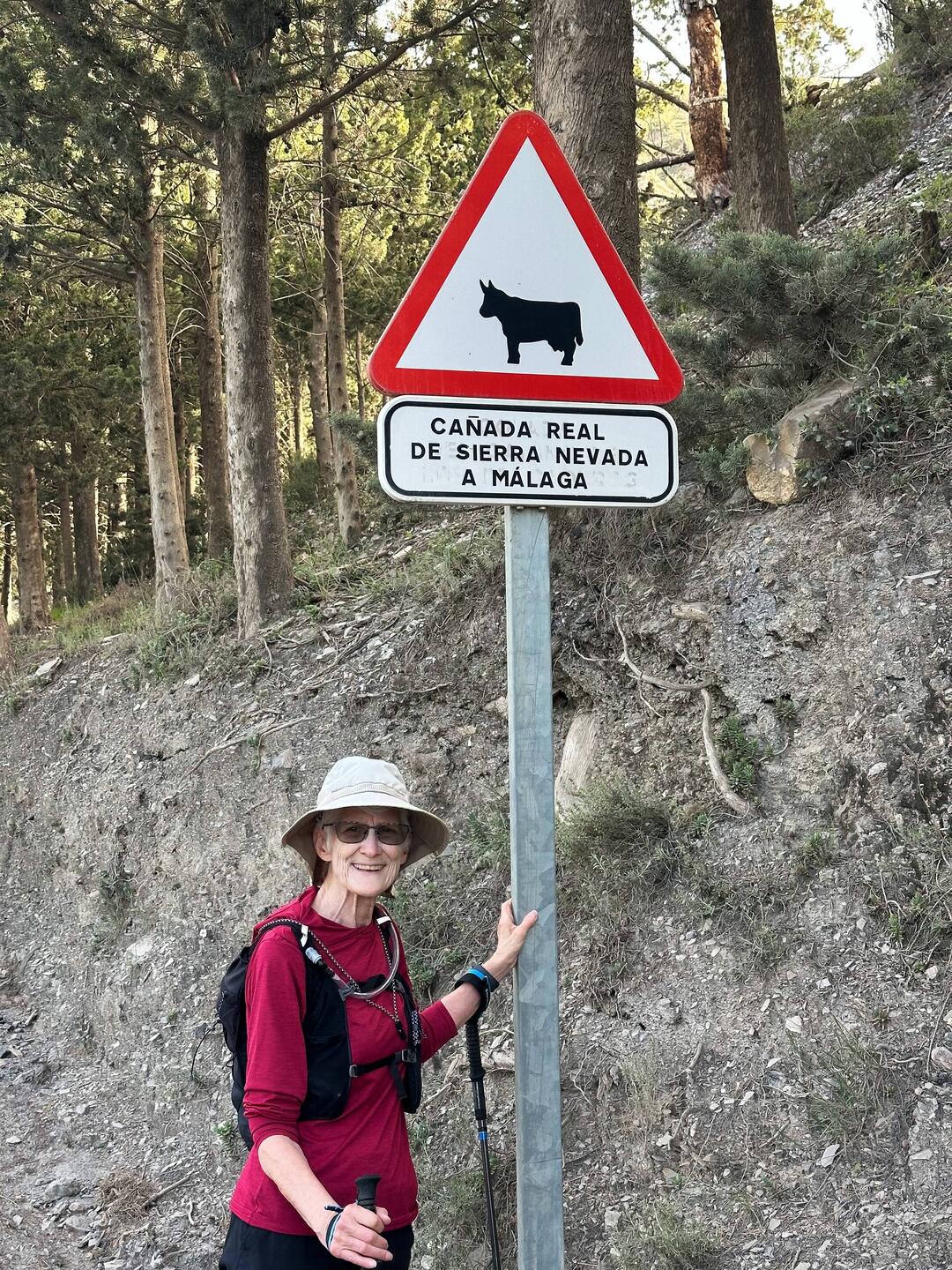 Track originally for moving livestock to and from summer pastures