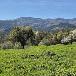Und dann noch Blicke in die Berge und ins Tal.