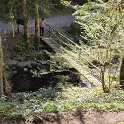 Und jetzt wissen wir, was eine schwarz gestrichelte Linie bei Komoot bedeutet.