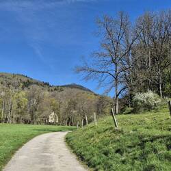 Der Weg startet ruhig.