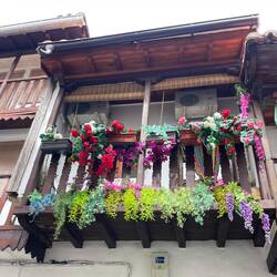 Nur jetzt blühen die Balkonpflanzen. Im Sommer hat's 40 Grad!