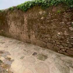 Und überall Grünpflanzen in Töpfen.