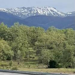 Der gestrige Dauerregen hat der Sierra de la Gata noch Schnee gebracht.