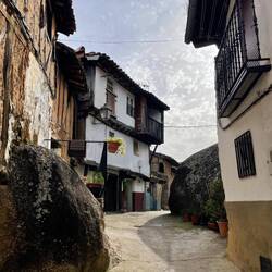 Relikte aus der Steinzeit