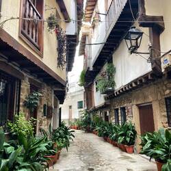 Es grünt so grün...