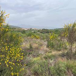 Wanderung von Villanueva nach Valverde